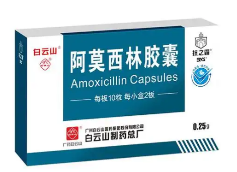 白云山阿莫西林胶囊